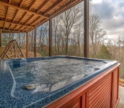 Cabin-rental-blue-ridge-ga RestingBearRetreat31 (Medium)