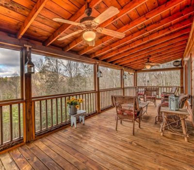 Cabin-rental-blue-ridge-ga RestingBearRetreat39 (Medium)