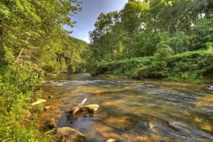 rosedale-creektopia